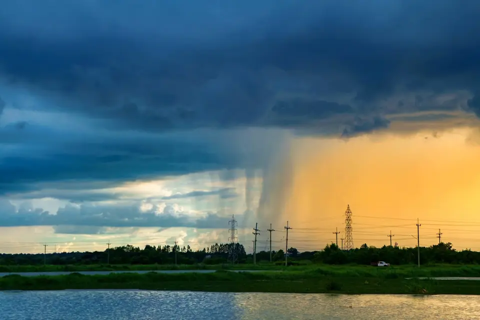 Plagas Después de la Lluvia: Cómo Afectan y Cómo Prevenirlas