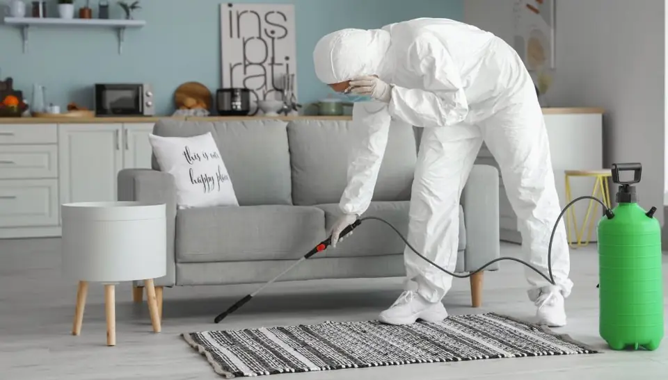 Técnico desinfectando el salón de una vivienda