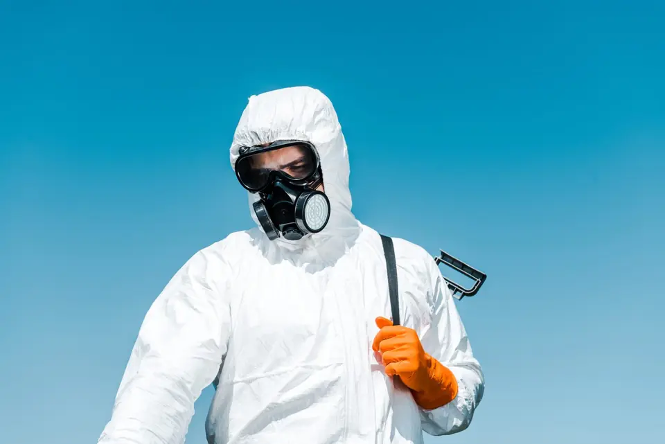 Fumigación Urgente en Invierno en Valencia