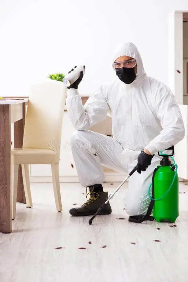 Técnico de Fumivale realizando un tratamiento