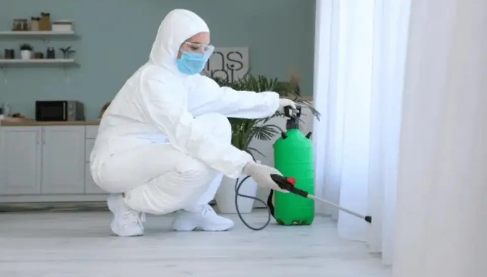 Mitos Comunes sobre la Fumigación: Lo que Realmente Funciona