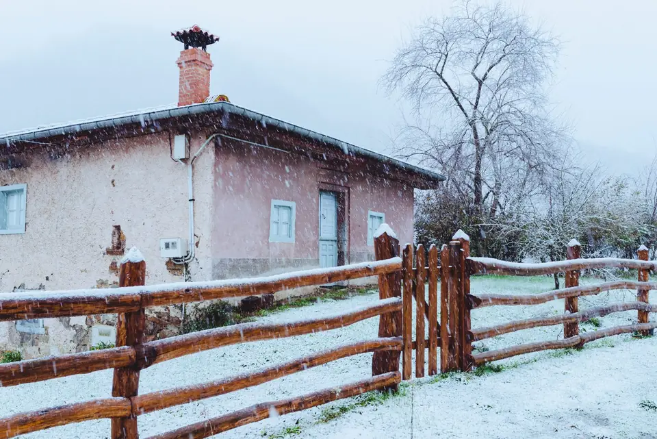 Evitar Plagas en Invierno